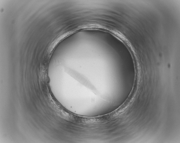 X0000052550945200507221447