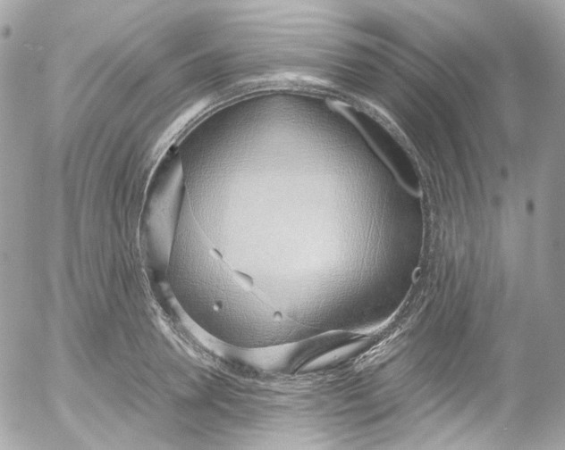 X0000052550946200507221447