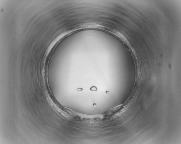 X0000052550947200507221447