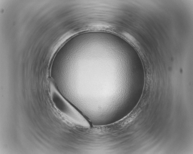 X0000052550948200507221447