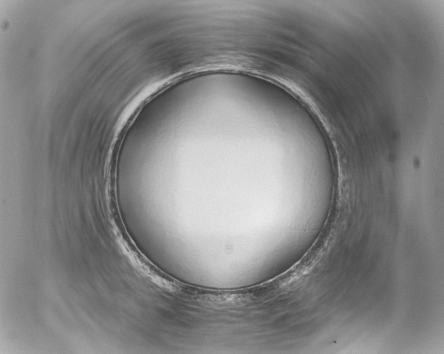 X0000052550949200507221447