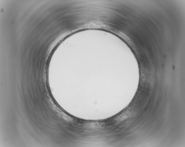 X0000052550950200507221447