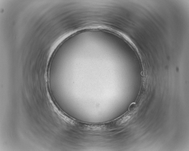 X0000052550951200507221447