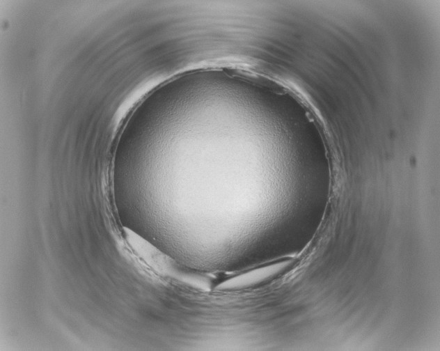 X0000052550952200507221447