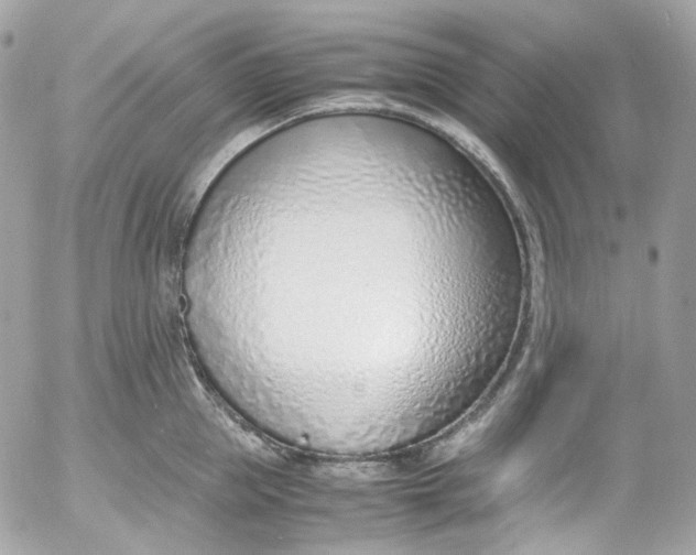 X0000052550953200507221447