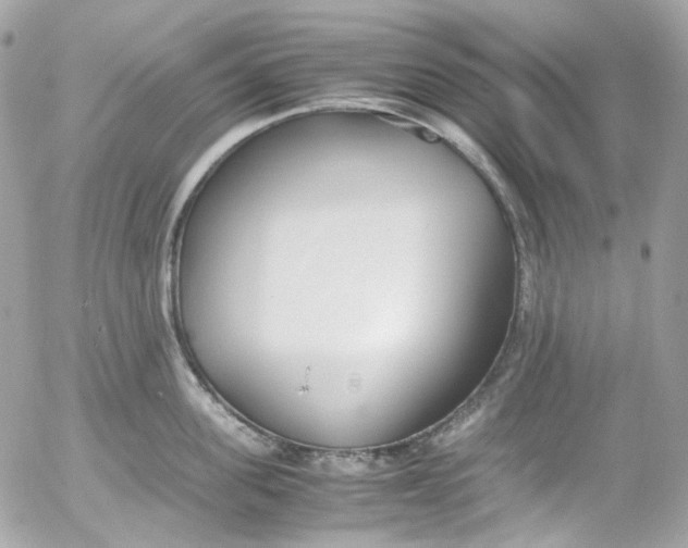 X0000052550955200507221447