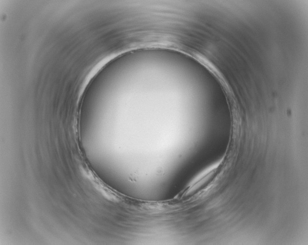 X0000052550956200507221447