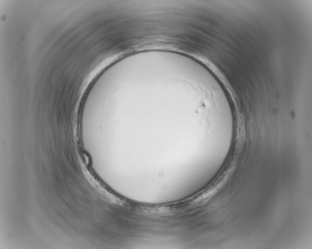 X0000052550957200507221448