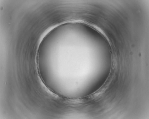 X0000052550959200507221448