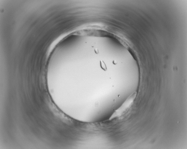 X0000052550960200507221448