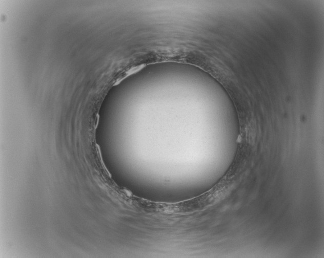 X0000052550961200507221447