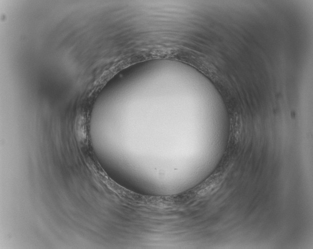 X0000052550962200507221447