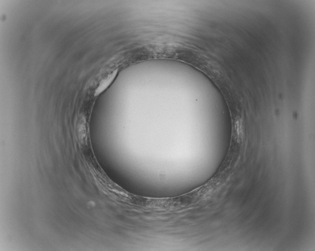 X0000052550963200507221447