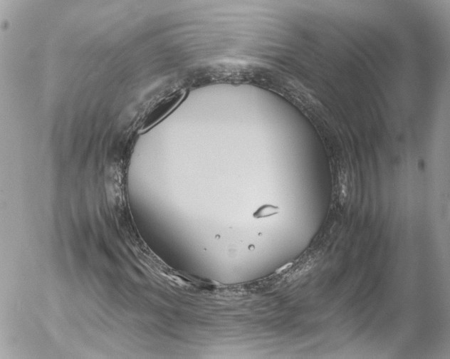 X0000052550964200507221447