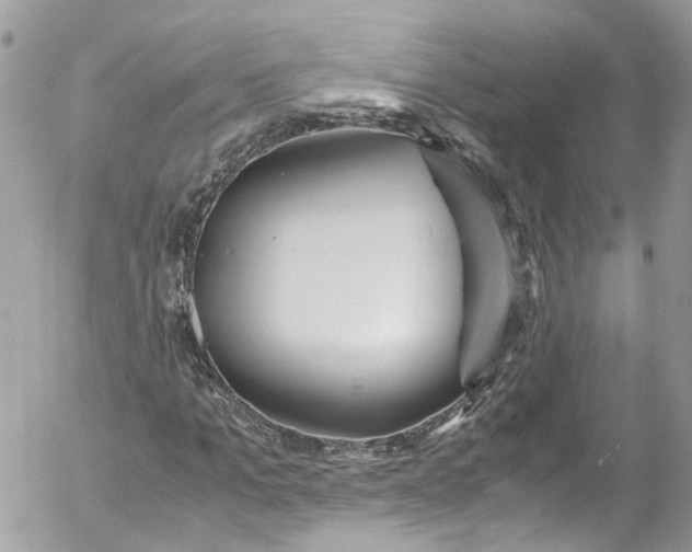 X0000052550965200507221447