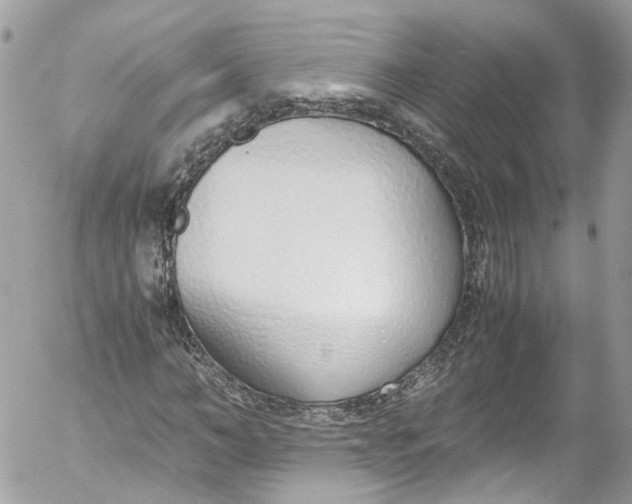 X0000052550966200507221447