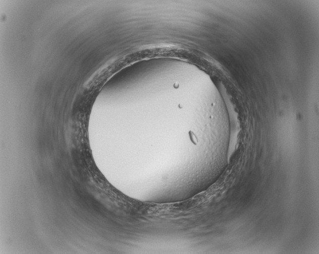 X0000052550967200507221447