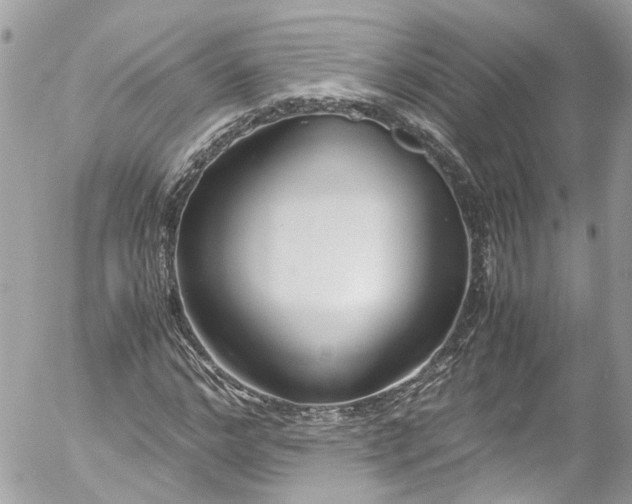 X0000052550968200507221447