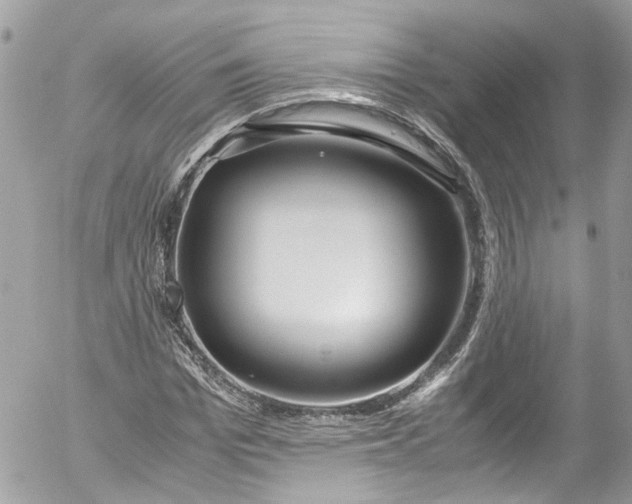 X0000052550969200507221447