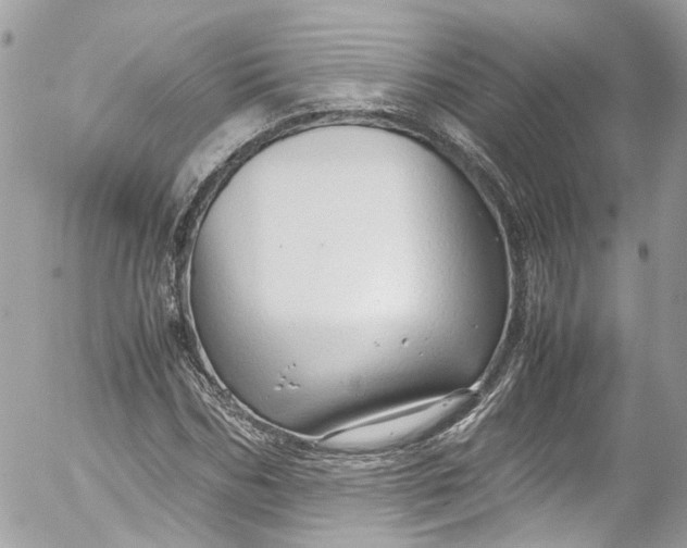 X0000052550970200507221447