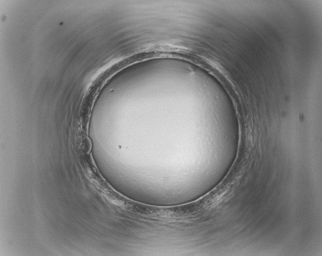 X0000052550971200507221447