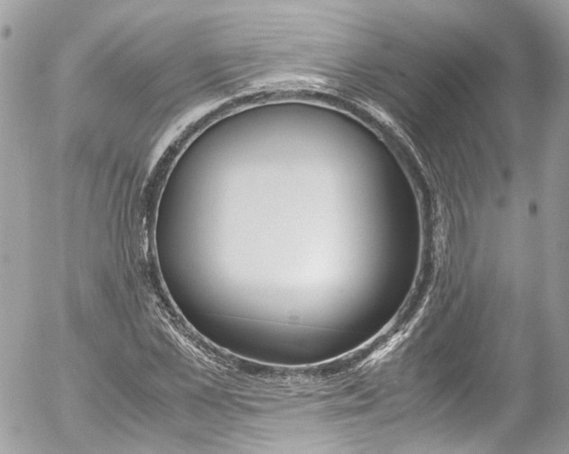 X0000052550973200507221447