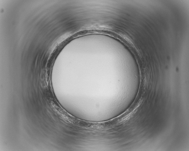 X0000052550974200507221447