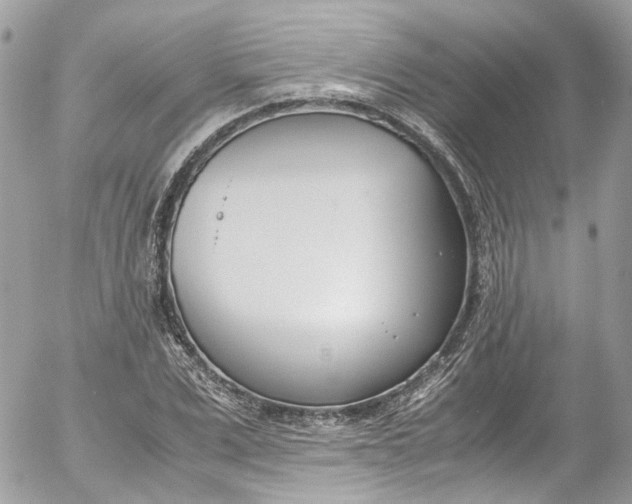 X0000052550975200507221447