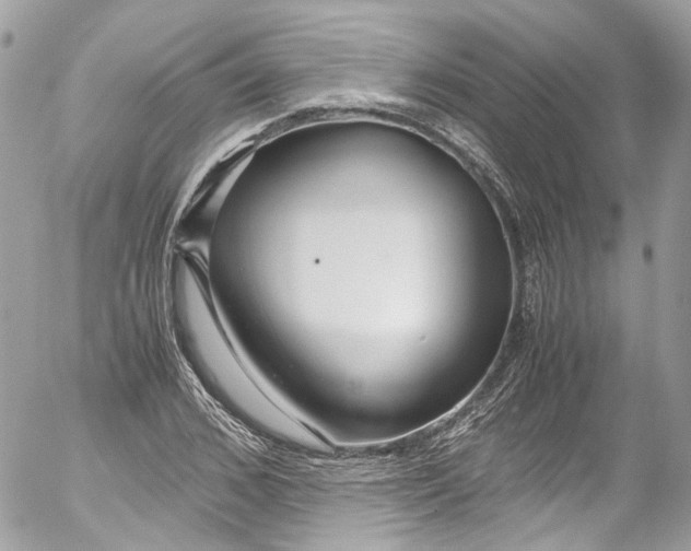 X0000052550976200507221447