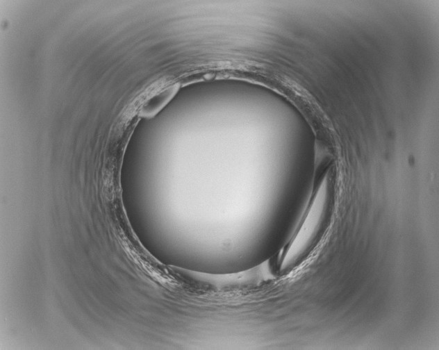 X0000052550977200507221447