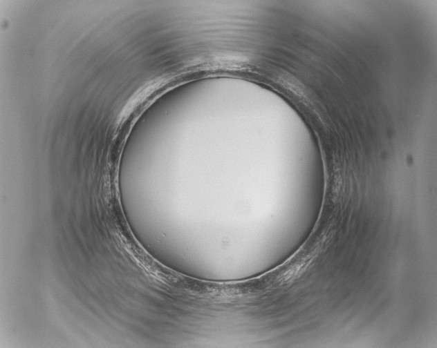 X0000052550978200507221447