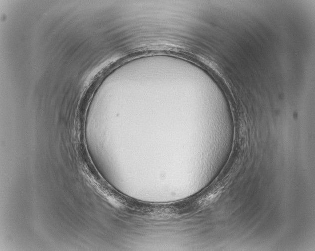 X0000052550979200507221446