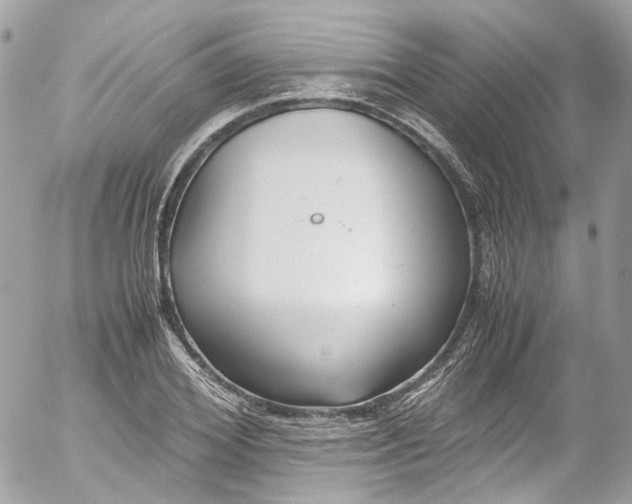 X0000052550980200507221446