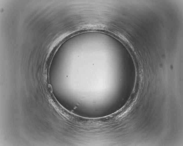 X0000052550981200507221446