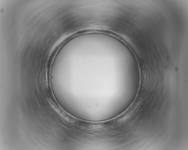 X0000052550982200507221446