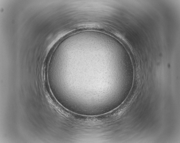 X0000052550983200507221446