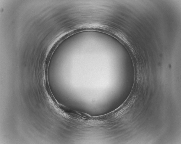 X0000052550984200507221446