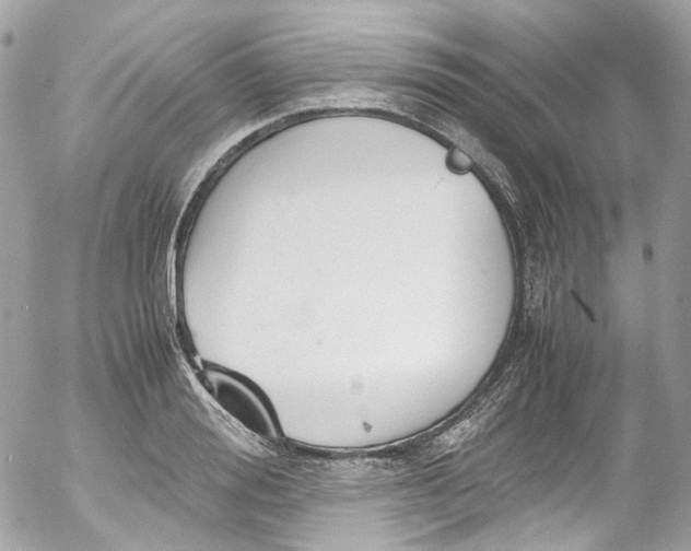 X0000052550988200507221446