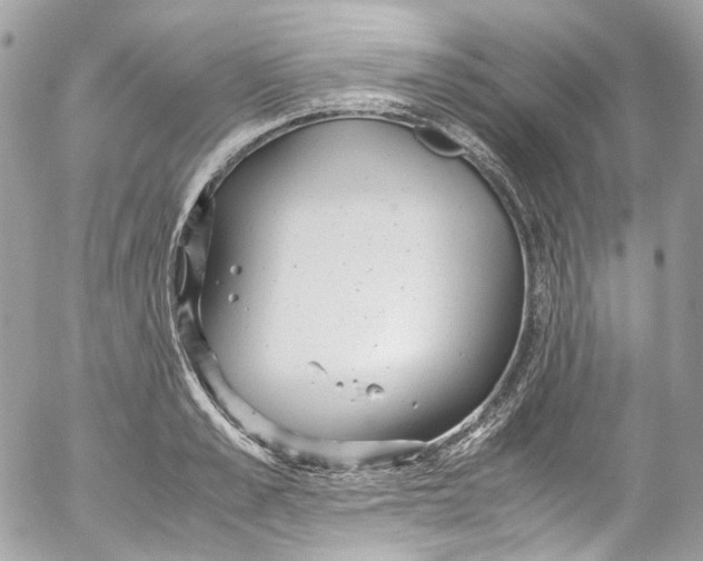 X0000052550989200507221446