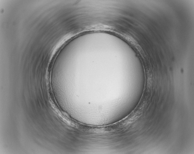 X0000052550990200507221446