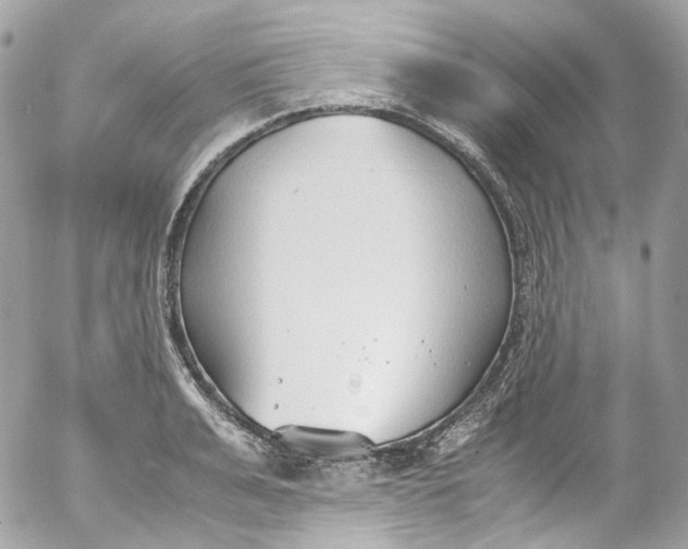 X0000052550991200507221446