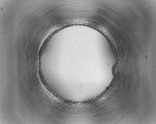 X0000052550992200507221446