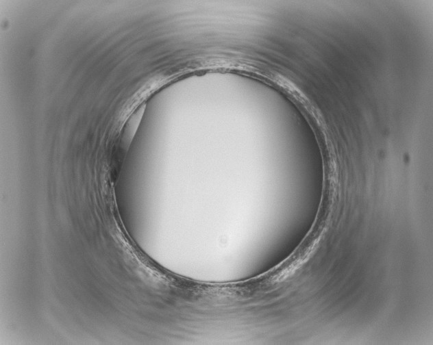 X0000052550993200507221446