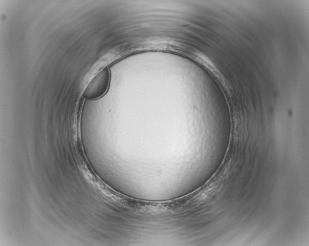 X0000052550994200507221446