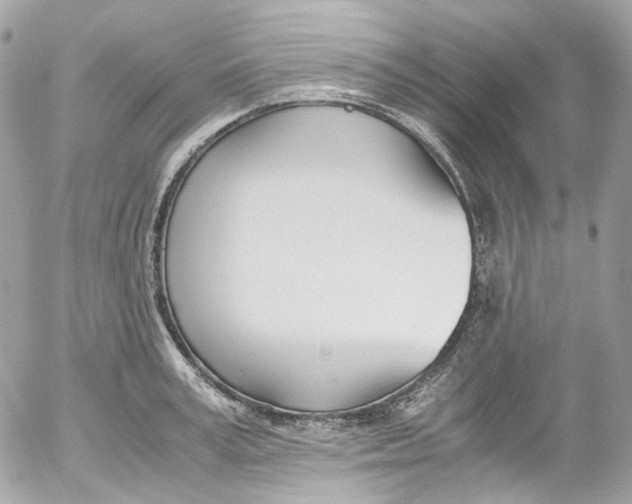 X0000052550995200507221446