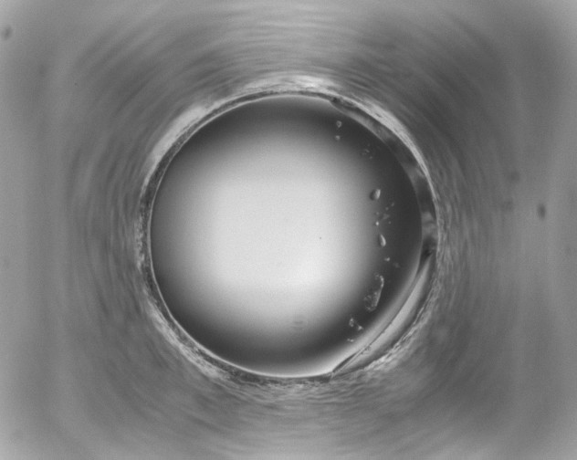 X0000052550997200507221446