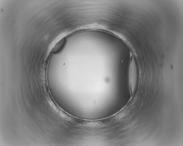 X0000052550998200507221446