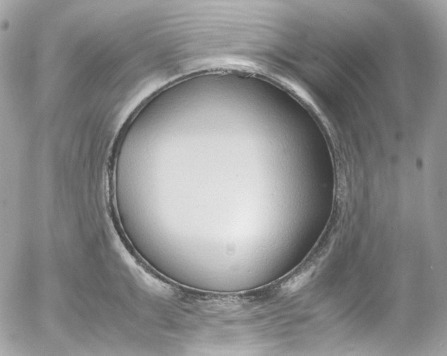 X0000052550999200507221446