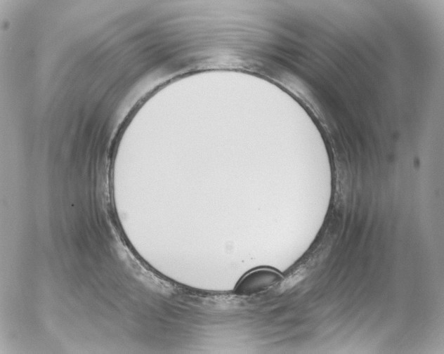 X0000052551000200507221446