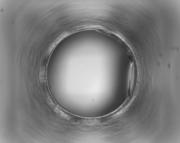 X0000052551001200507221446